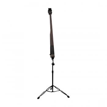 DEAN PACEB CBK UPRIGHT PACE